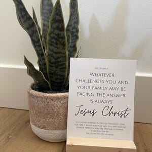 May include: A potted snake plant with green and gray striped leaves sits next to a white card with the text "Whatever challenges you and your family may be facing, the answer is always Jesus Christ."