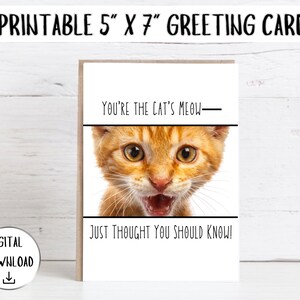Carte de voeux Vous êtes le miaou du chat - Jolie carte de compliments pour des amis, des remerciements ou tout simplement parce que - Carte imprimable téléchargeable