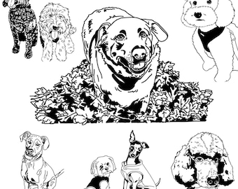 Custom Pet Drawing, Custom Dog Drawing, Custom Cat Portrait, Custom Pet Portrait, Anniversary Gift, Custom Line Drawing, Pet Portrait