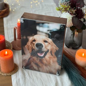 Personalisierte Haustier Foto Urne, Moderne Hund Katze Asche Andenken
