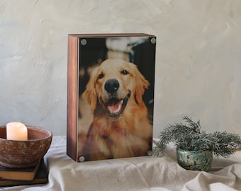 Personalized Pet Photo Urn, Modern Dog Cat Ashes Keepsake