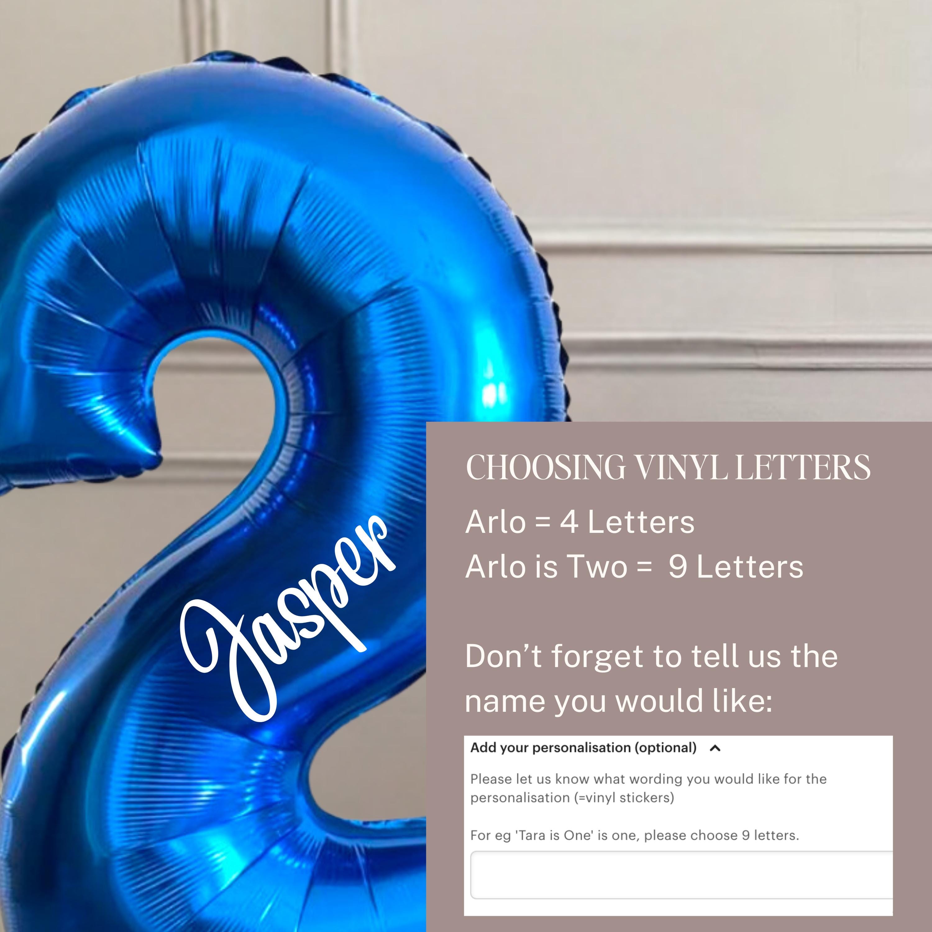DIY Large Bluey Personalised Balloon Sculpture Kit