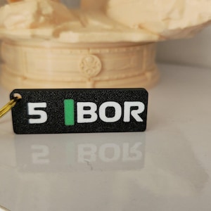 Kick Sauber F1 Driver Keychain– Gabriel Bortoleto | F1 Gift for Motorsport Fans Free Uk Postage