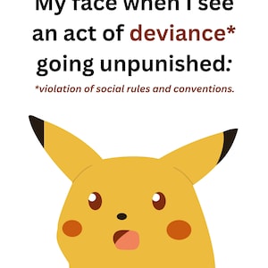 Sociology Meme Posters (x13)