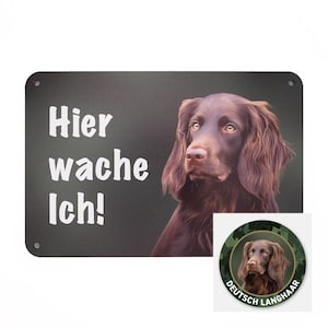 DEUTSCH LANGHAAR Pointer Hundeschild – Jagdhund Warnschild 24x16 cm – Autoaufkleber & Autoschild – Geschenk für Jäger, Wilde Hilde Original