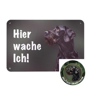 Deutsch Drahthaar Warnschild Gartenzaun - Türschild Hunde - „HIER WACHE ICH!“ Aludibond Schild von Wilde Hilde Original Geschenkidee Jägerin