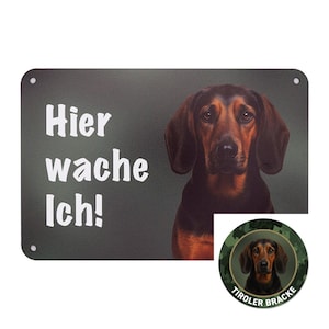 Tiroler Bracke Schild, Aufkleber | Hunde Zaunschild Auto Aufkleber | Jagdhund Deko wetterfest | Geschenk für Hundebesitzer