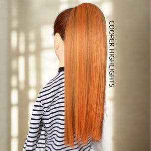 Foxy Red SHADES Ponytail Extension Ginger, Cooper, Mahogany Fake Ponytail, Band Rubber NoClipIn, Hair Extension, Wig, Ombre,Natural Color COOPER HIGHLIGHTS