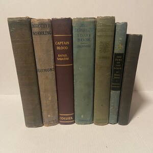 Vintage shabby book bundle