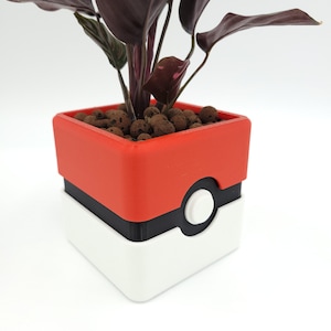 May include: A red and white square planter with a black Pokeball design. The planter is filled with brown drainage material and a dark green plant with red leaves.