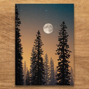 May include: A digital illustration of a forest scene at night with a full moon and a starry sky. The trees are silhouetted against the orange and blue sky.