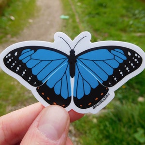 Farfalla blu Morpho Menelaus adesivo insetto in vinile, cancelleria cartoleria carina, regalo zoologo, adesivo animali