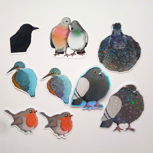 Bird Pigeon Crow Sticker & Pin