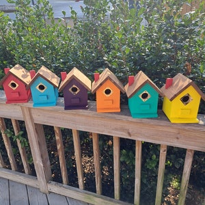 personalized gift, pick your colors birdhouse with predator guard, Christmas gift idea, Christmas