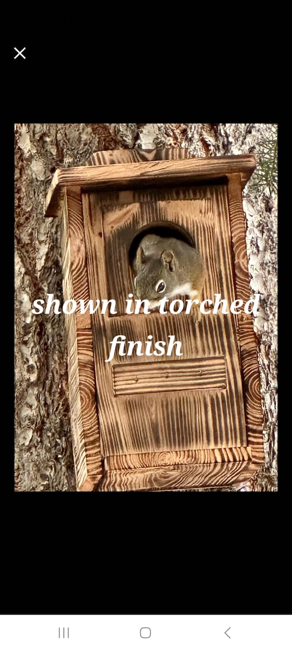 large squirrel house, squirrel house, cedar squirrel house, squirrel nesting box, house for squirrels, Christmas gift