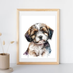 Tibetan Terrier Transparent Background PNG  | Animal Prints | Pet Prints | Puppy Watercolor Painting | Dog Wall Art | Terrier digital art