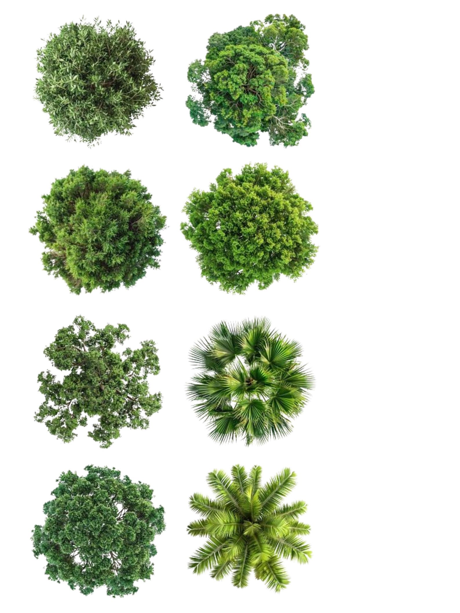 89 Bundle Pack of Editable Photoshop Template, Landscape Tree ...