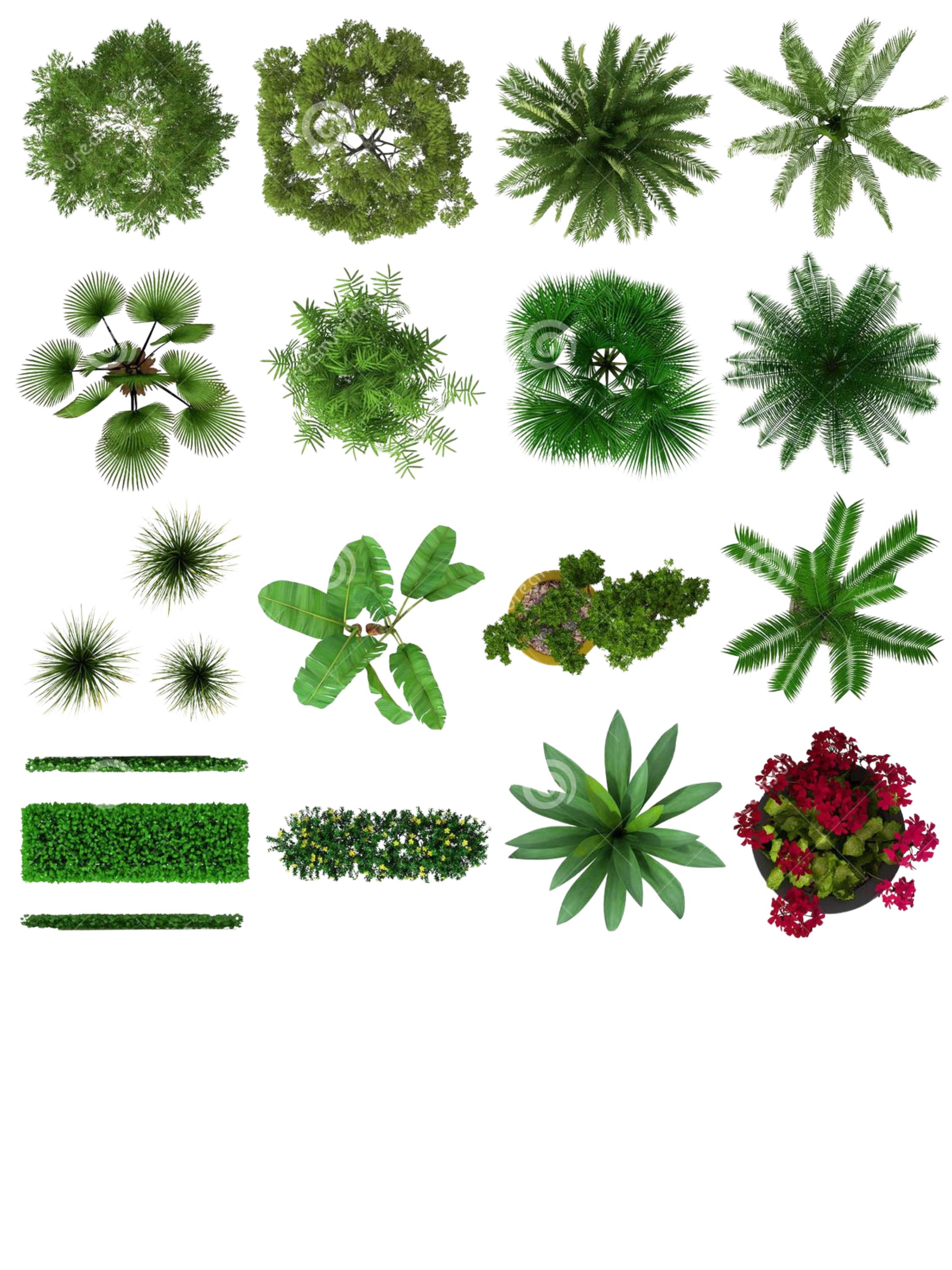 89 Bundle Pack of Editable Photoshop Template, Landscape Tree ...