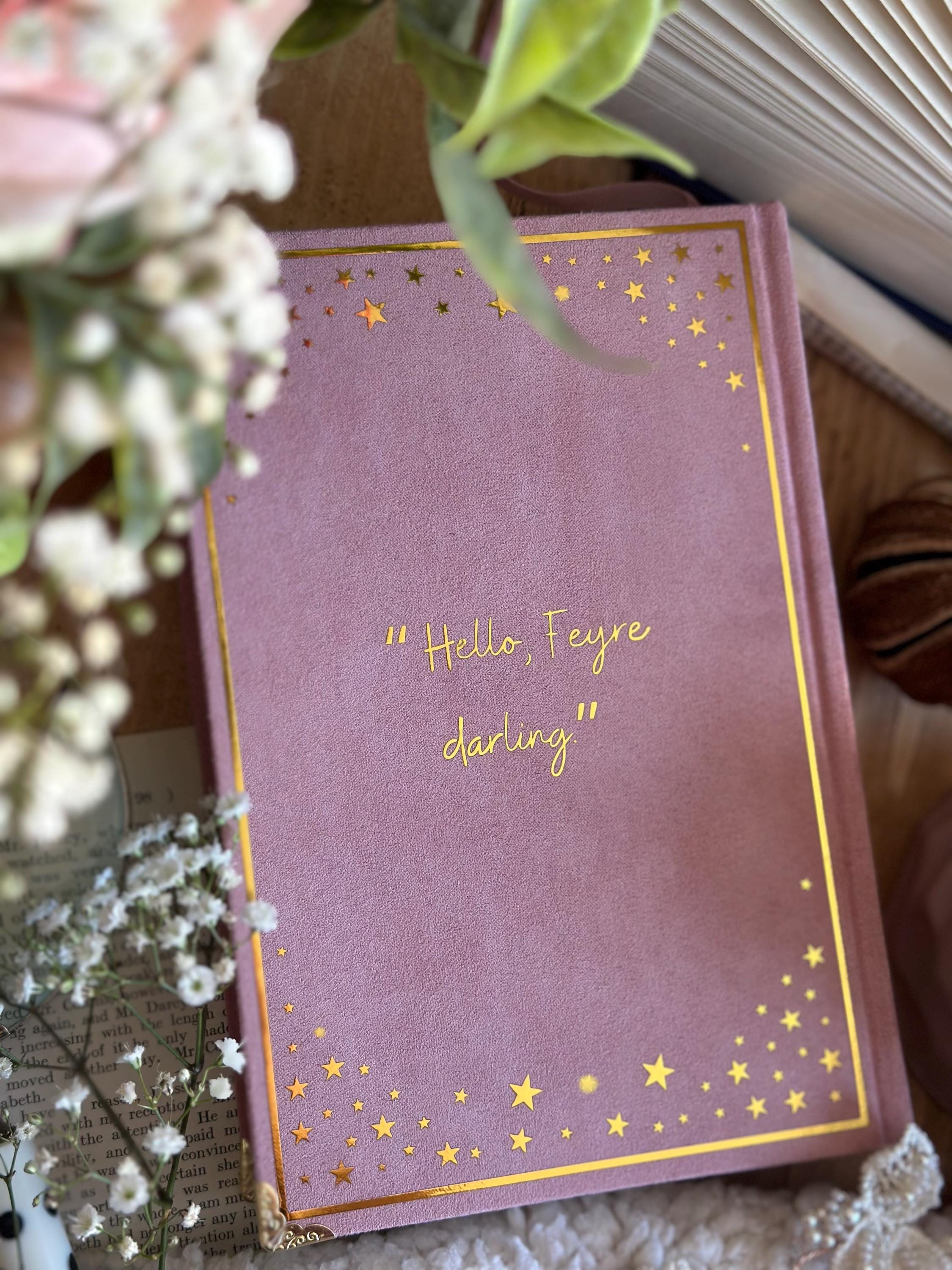 A Court of Thorns & Roses The ELAIN EDITION (pink ombre) by Sarah J. Maas | Custom Book Rebind (Handmade) - Special, Book Binding, ACOTAR