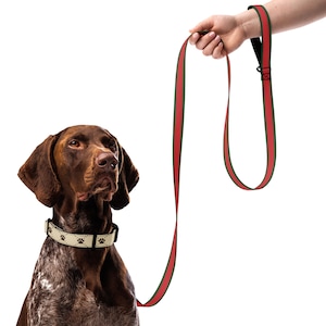 Burberry Dog Collar & Leashes - Etsy