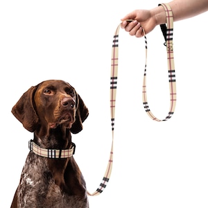 Burberry Dog Leash - Etsy