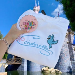 Disneyland Embroidered Sweater, Disneyland Sweatshirt, Disneyland Shirt, Disneyland Sweatshirt Women, Cinderella Sweater, Disneyland Sweater