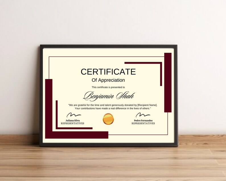 Editable Appreciation Certificate Template, Printable Award Certificate ...