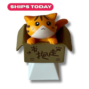 May include: A whimsical orange and white cat figurine with black stripes peeks out of a brown cardboard box. The box has Chinese characters and paw prints. The text "SHIPS TODAY" is in a red oval.