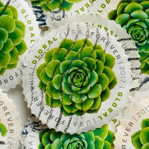 USA Postage Stamps/Global Forever/Green Succulent/2017