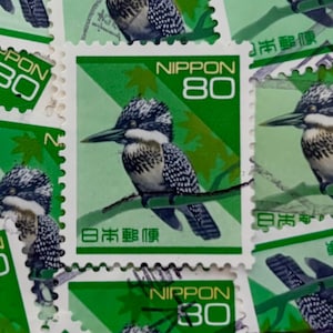 Japan Postage Stamp/Pied Kingfisher/1994