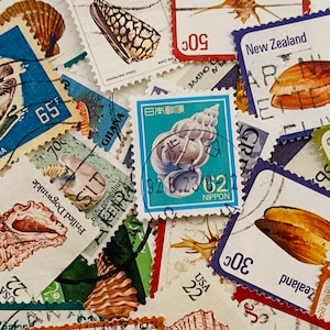 Conchas marinas - Paquetes de sellos postales