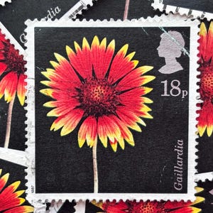Selos postais da Grã-Bretanha/Fotografias de flores de Alfred Lammer/América do Norte, Flor de cobertor/1987
