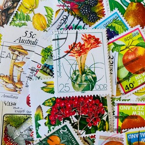 Alimentos - Paquetes de sellos postales
