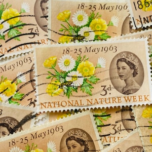 Great Britain Postage Stamps/National Nature Week/Posy of Flowers/1963