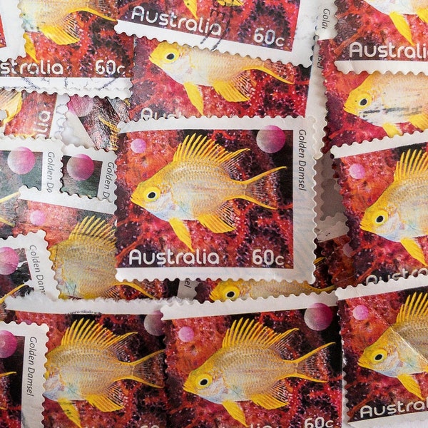Australia Postage Stamps/Fishes of the Reef/Golden Damsel Fish/2010