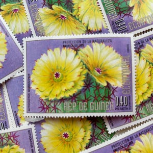 Timbres-poste de Guinée équatoriale/Fleurs d&#39;Amérique du Sud/Notocatus Mammulosus/1976