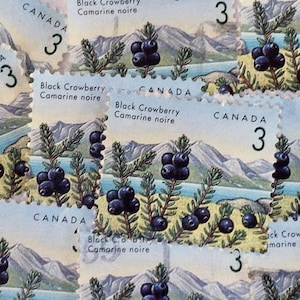 Canada Postage Stamps/1992 Issue/Black Crowberry/1992