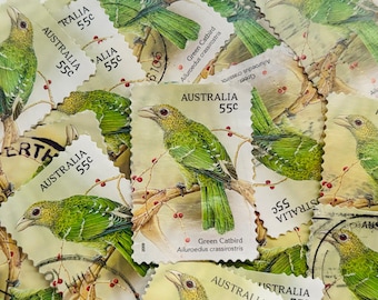 Australia Postage Stamps/Australian Songbirds/Green Catbird/2009