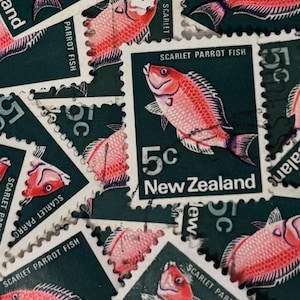 New Zealand Postage Stamps/Pictorials/Scarlet Parrot Fish/1970