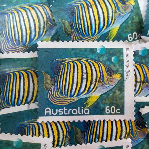 Australia Postage Stamps/Fishes of the Reef/Regal Angel Fish/2010