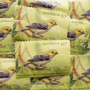 Australia Postage Stamps/Australian Birds/Forty Spotted Pardalote/2013