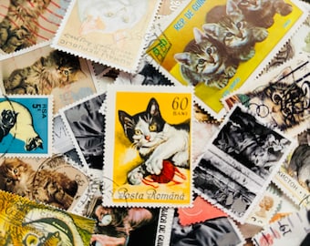 Cats  - Postage Stamp Packs