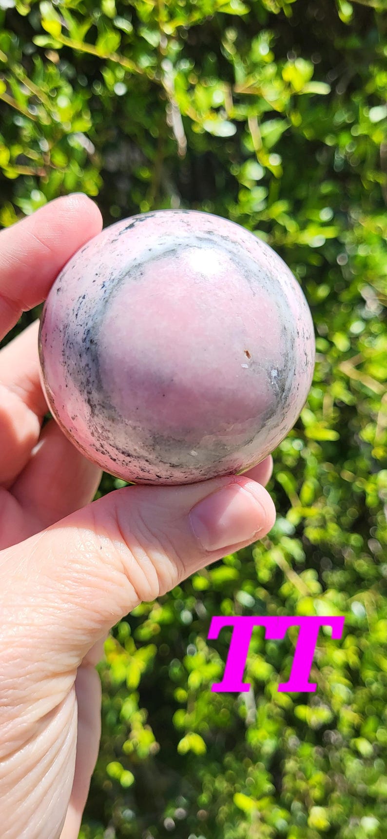 K&ouml;nnte beinhalten: Eine rosa Kugel mit grau-schwarzer Marmorierung wird in einer Hand vor einem Hintergrund aus gr&uuml;nem Laub gehalten. Die Kugel ist glatt und poliert. Die Buchstaben "TT" befinden sich in der unteren rechten Ecke.