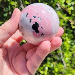 K&ouml;nnte beinhalten: Eine rosa-wei&szlig;e Kugel mit schwarzen Markierungen wird in einer Hand vor einem Hintergrund aus gr&uuml;nem Laub gehalten. Die Kugel hat ein marmoriertes Aussehen, wobei sich die rosa Farbe durchzieht. Das Bild hat einen nat&uuml;rlichen, Au&szlig;enbereich.