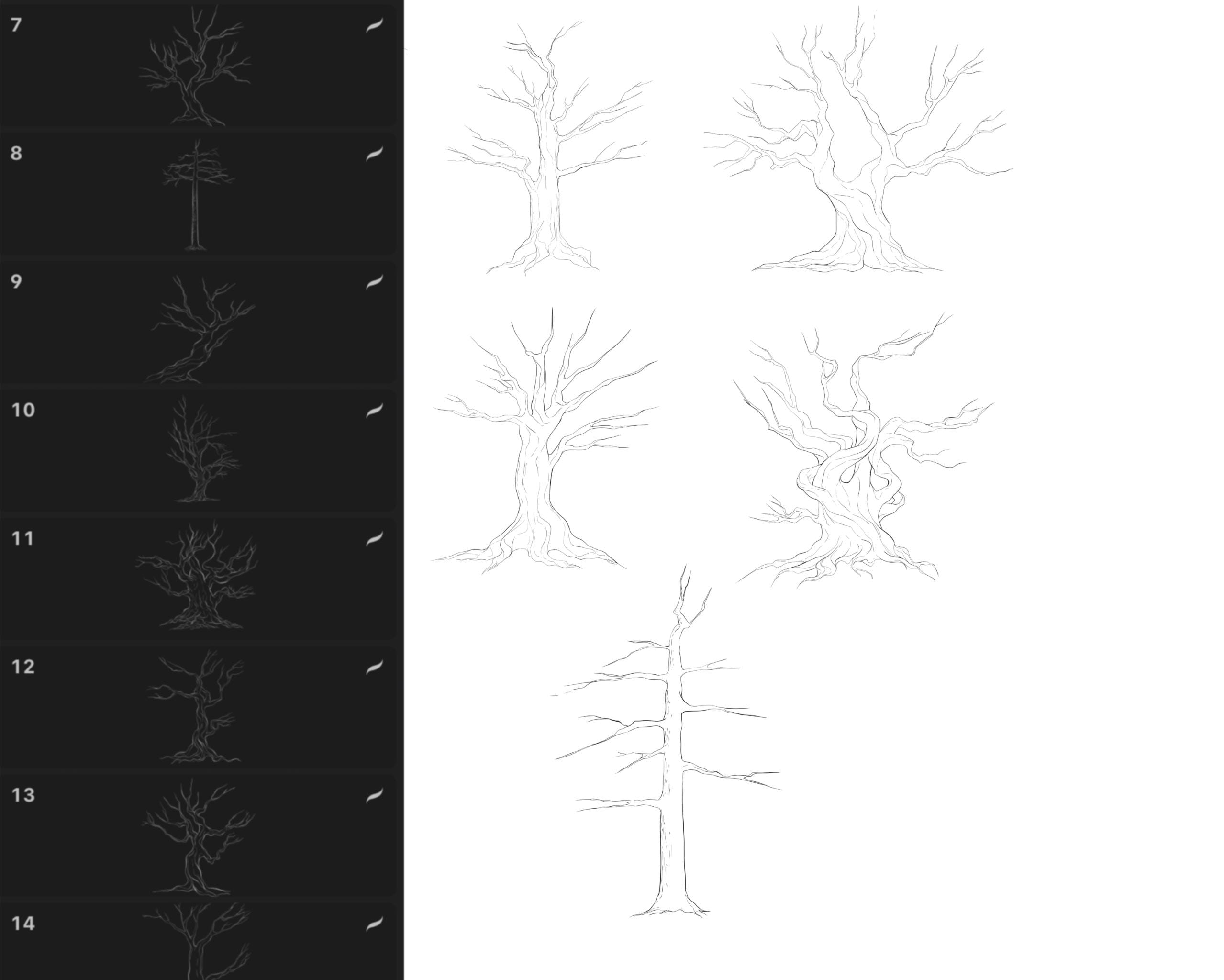 Tree Trunks Graphics Procreate Brushes Manga Trees Stock Stamps Stamp ...