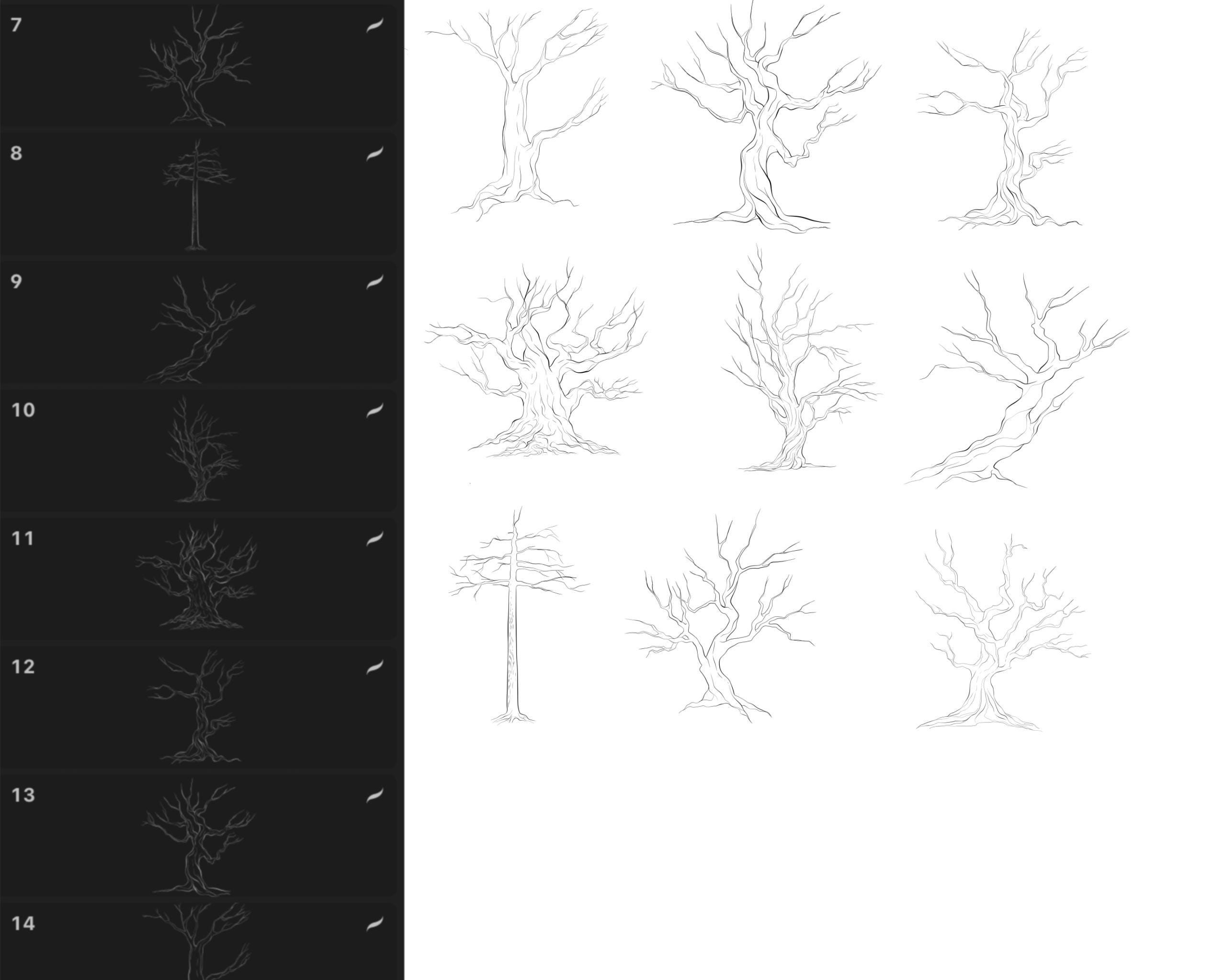 Tree Trunks Graphics Procreate Brushes Manga Trees Stock Stamps Stamp ...