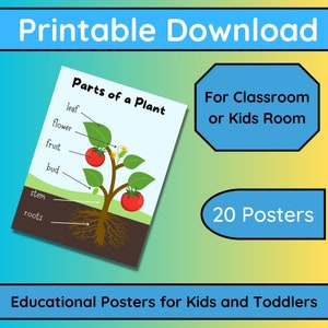 20 carteles educativos para niños pequeños y niños Gráficos educativos para niños pequeños y niños Gráficos de aprendizaje para niños pequeños y niños