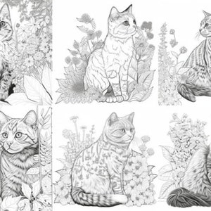 100 Cat Coloring Pages for Kdp Books