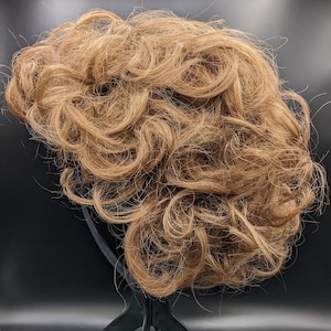 Paula Young Exquisite Wig A5033 in Color 33/29/28 - 1990s Vintage in Box