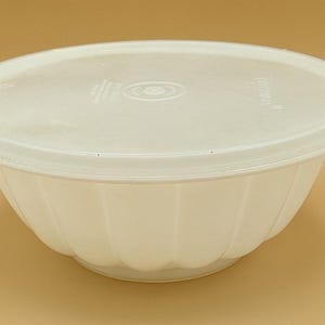 Vintage Tupperware Opaque Jel-N-Serve 616 | 6 Piece Jello Mold & Tupper Seal Imprint Lids | 1970&#39;s